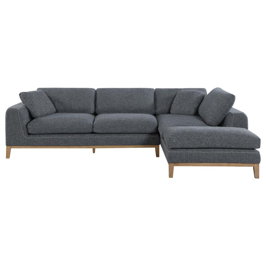 2-Piece Sectional Sofa